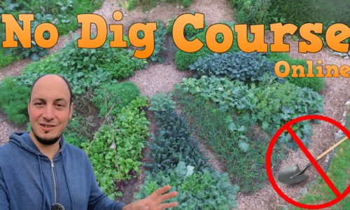 No Dig Gardening Online Course